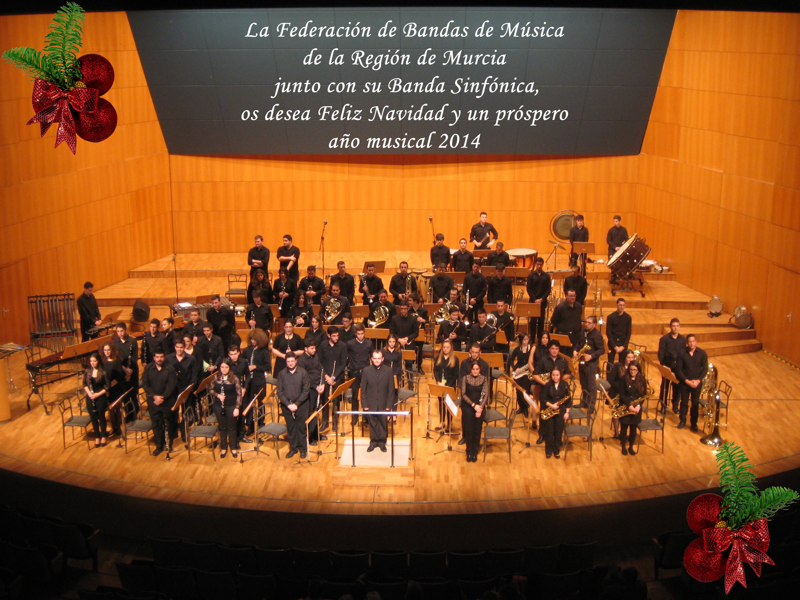 Banda Sinfonica 2013-Murcia 003